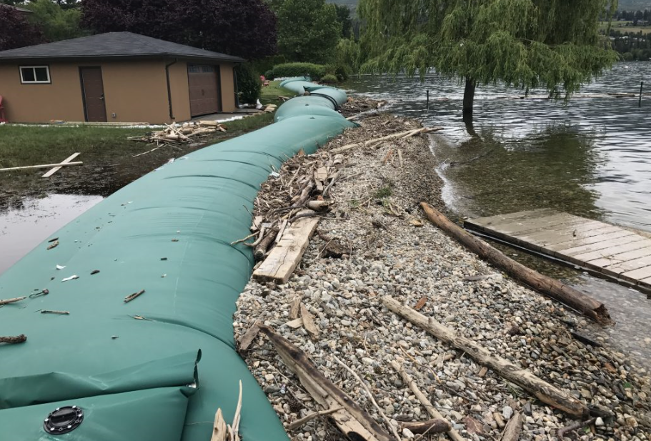 Double Dam 36"x50' (DD3650)